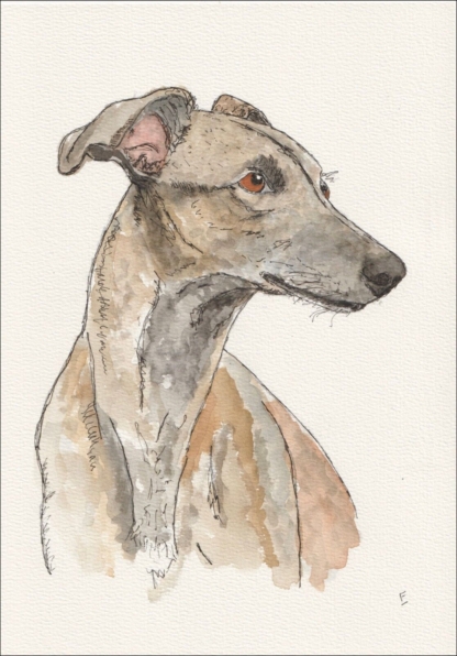 Original Signed Watercolour And Ink Whippet Sketch Wall Art Dog Portrait