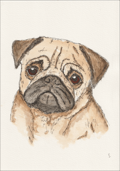Original Ink And Wash Sketch Of A Pug Not A Print. Animal Drawing. Dog Portrait