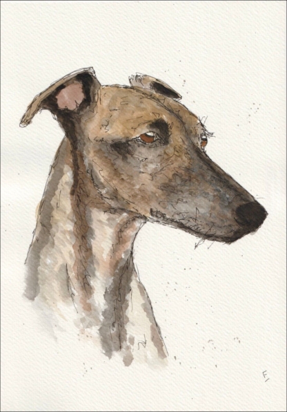Original Signed Watercolour And Ink Greyhound Sketch Wall Art Dog Portrait A4
