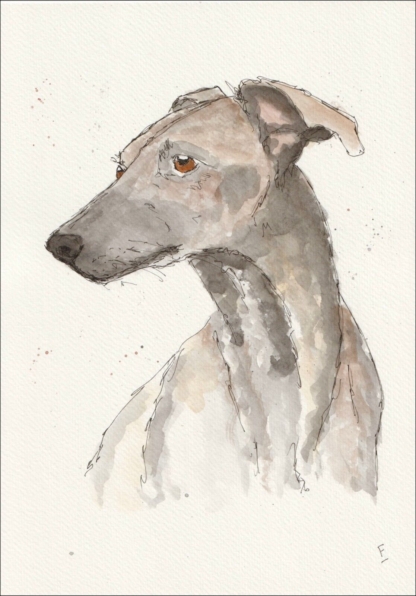 Original Signed Watercolour And Ink Greyhound Sketch Wall Art Dog Portrait A4