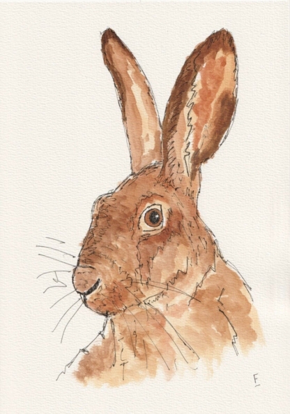 Original Watercolour And Ink Sketch Of A Hare On A4 300gsm Paper. Not A Print