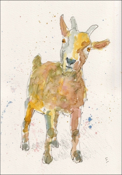 Original Signed Watercolour And Ink Sketch Of A Goat A4 Size Wall Art