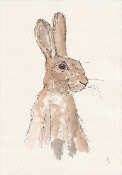 Original Watercolour And Ink Sketch Of A Hare On A4 300gsm Paper. Not A Print