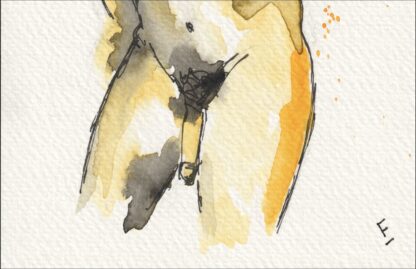 Original Signed Watercolour Painting Nude Male Life Drawing Direct From Artist - Image 3