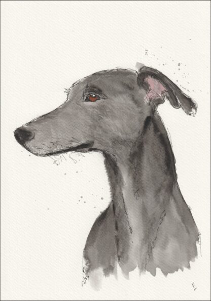 Original Signed Watercolour And Ink Greyhound Sketch Wall Art Dog Portrait A4