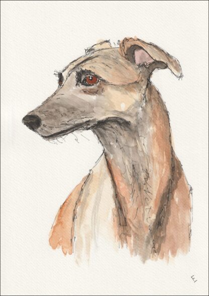 Original Signed Watercolour And Ink Painting Of A Greyhound, Dog Portrait A4