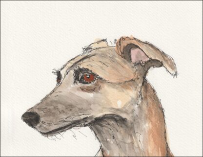 Original Signed Watercolour And Ink Painting Of A Greyhound, Dog Portrait A4 - Image 2