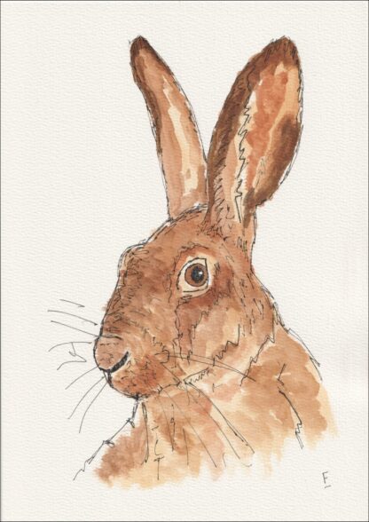Original Watercolour And Ink Sketch Of A Hare On A4 300gsm Paper