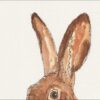 Original Watercolour And Ink Sketch Of A Hare On A4 300gsm Paper - Image 2