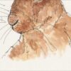 Original Watercolour And Ink Sketch Of A Hare On A4 300gsm Paper - Image 3