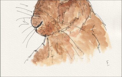 Original Watercolour And Ink Sketch Of A Hare On A4 300gsm Paper - Image 3