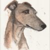 Original Signed Watercolour And Ink Painting Of A Greyhound Dog Portrait  A4