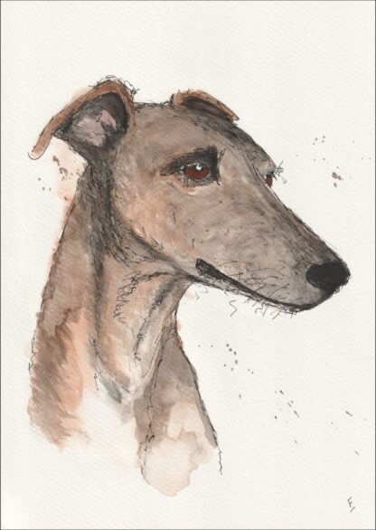 Original Signed Watercolour And Ink Painting Of A Greyhound Dog Portrait  A4