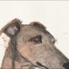 Original Signed Watercolour And Ink Painting Of A Greyhound Dog Portrait  A4 - Image 2