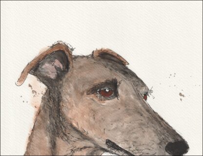 Original Signed Watercolour And Ink Painting Of A Greyhound Dog Portrait  A4 - Image 2