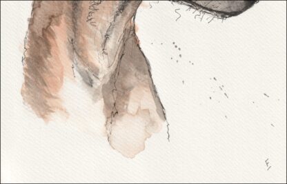 Original Signed Watercolour And Ink Painting Of A Greyhound Dog Portrait  A4 - Image 3