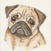 Original Signed Watercolour And Ink Painting Of A Pug