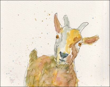 Original Signed Watercolour And Ink Sketch Of A Goat A4 Size Wall Art - Image 2