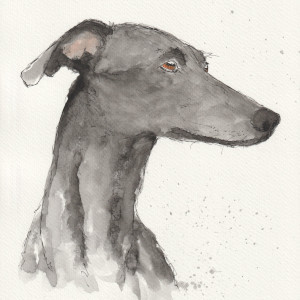 Watercolour Sketches Of Animals And Birds