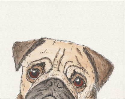 Watercolour and ink painting of a pug