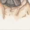 Watercolour and ink painting of a pug