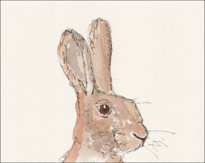 Original Signed Watercolour And Ink Sketch Of A Hare Wildlife Wall Art Nature - Image 2