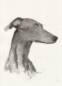 Sketches of birds and animals in watercolour and ink