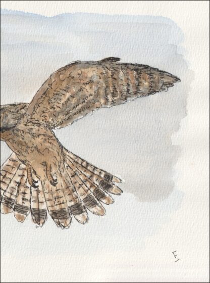 Watercolour And Ink Painting Of A Kestrel, Contemporary Bird Of Prey Art, A4 - Image 3