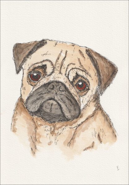 Original Signed Watercolour And Ink Painting Of A Pug, Contemporary Dog Art A4