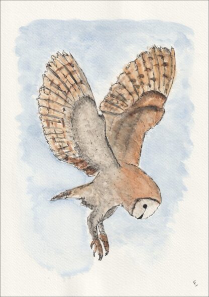 Original Watercolour And Ink Painting Of An Owl, Contemporary Bird Art, A4