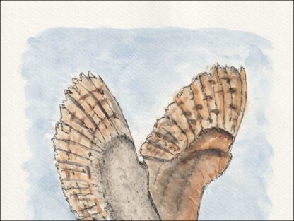Original Watercolour And Ink Painting Of An Owl, Contemporary Bird Art, A4 - Image 2