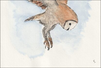 Original Watercolour And Ink Painting Of An Owl, Contemporary Bird Art, A4 - Image 3