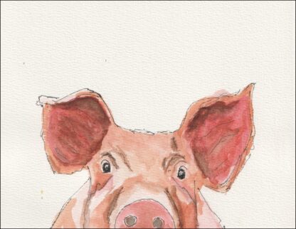 Original Watercolour And Ink Painting Of A Pig, Farm Animal, Contemporary Art - Image 2