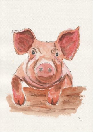 Original Watercolour And Ink Painting Of A Pig, Farm Animal, Contemporary Art