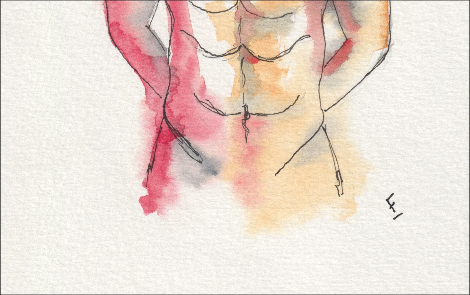 Executed from a direct, front-facing viewpoint, this original wash and ink creation isolates an anatomical study through an upright torso.