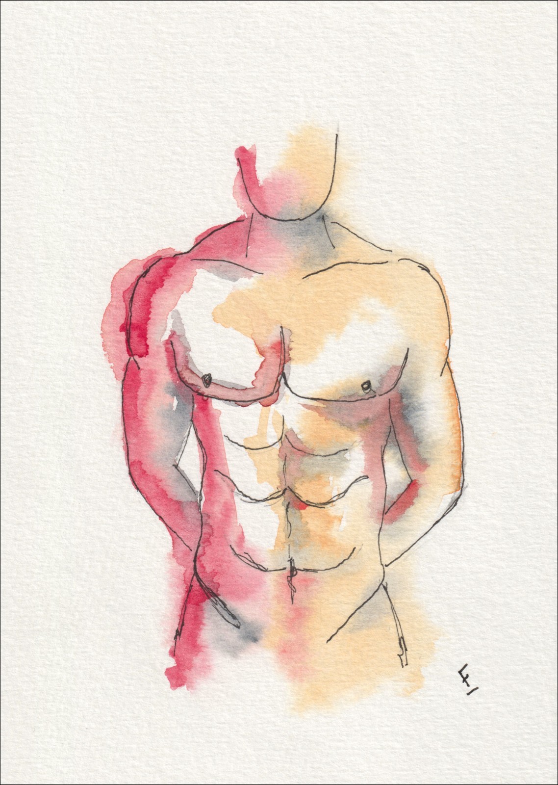 Executed from a direct, front-facing viewpoint, this original wash and ink creation isolates an anatomical study through an upright torso.
